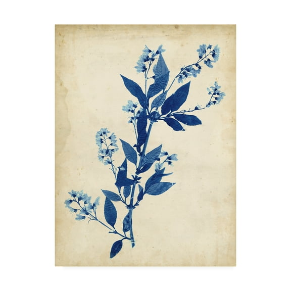 Trademark Fine Art 'Indigo Leaf Study I' Canvas Art by Vision Studio