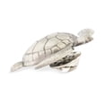 thumbnail image 2 of PinMart's Sea Turtle Pin, 2 of 3