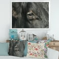 thumbnail image 3 of Designart 'Close-Up Of Cow Eye' Farmhouse Framed Art Print, 3 of 4