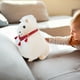 thumbnail image 1 of Decoración del hogar, decoración de habitaciones, decoración de paredes. Muñeco de caballo de peluche. Regalo para el Año del Caballo. Mascota para niños y niñas. Juguete decorativo. Muñeco de caballo, 1 of 7