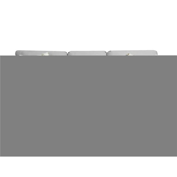 Neo Living NL700-GRAY-01-SOFA Lucas Sofa, Gray