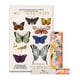 thumbnail image 1 of Yuya - Pack Primer Para Ojos 8ml + Sombras Metamorfosis 27g, 1 of 3