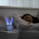 thumbnail image 5 of Lindo reloj despertador con temporizador de conejo para niños, regalo electrónico LED, luz nocturna para interiores, pantalla de temperatura, reloj despertador con carga, 5 of 5