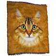 thumbnail image 4 of Longhaired Tabby Cat Face Throw Blanket, 4 of 5