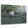 thumbnail image 2 of Epic Art 'Red Poll' by Ron Parker, Acrylic Glass Wall Art, 36"x24", 2 of 8