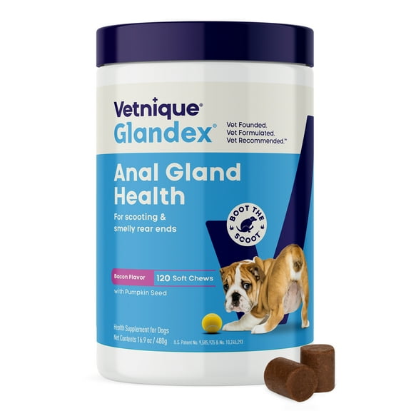 Vetnique Glandex Anal Gland Support Soft Chews, for All Dogs, Bacon Flavored, 120 Count