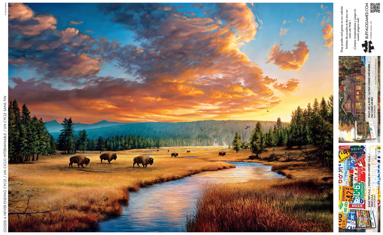 Buffalo Games 300-Piece A Never-ending Cycle Interlocking Jigsaw Puzzle for Adults Ages 14+