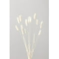 thumbnail image 2 of 1x Studio III 17x24 White Modern Wood Framed Museum Art Print Titled - Bunny Grass No 1, 2 of 4
