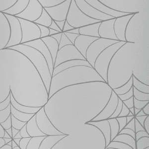 Spider Webs