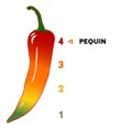 thumbnail image 5 of El Guapo Whole Pequin Chili Peppers, 0.25 oz Bag, 5 of 12