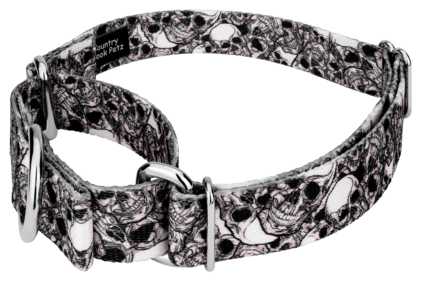 Country Brook Petz® Phantom Skulls Martingale Dog Collar and Leash, Medium