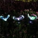thumbnail image 3 of Yuarrent 3 pack/lote de luz Solar, paquete de 3 mariposas para jardines encantadores, luces de mariposas, luces de césped Iluminación y accesorios, 3 of 6