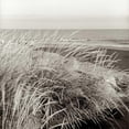 thumbnail image 3 of Blaustein, Alan 15x15 Black Modern Framed Museum Art Print Titled - Tuscan Coast Dunes - 3, 3 of 5