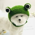 thumbnail image 6 of Pet Hat Creative Shape Tear-resistant Woolen Yarn Cat Decorative Frog Hat Pet Photography Costume for Home, 6 of 8