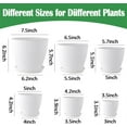 thumbnail image 2 of 6 Pcs Plastic Plant Pots,Bexikou Flower Pots with Trays,Indoor Plant Pot with Drainage Holes,Plastic Planter for Garden House Plants, Succulent, 2 of 7