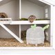 thumbnail image 4 of unbranded De Y De Arena Para Hamsters Y Pequeños Color Resistente, 4 of 7