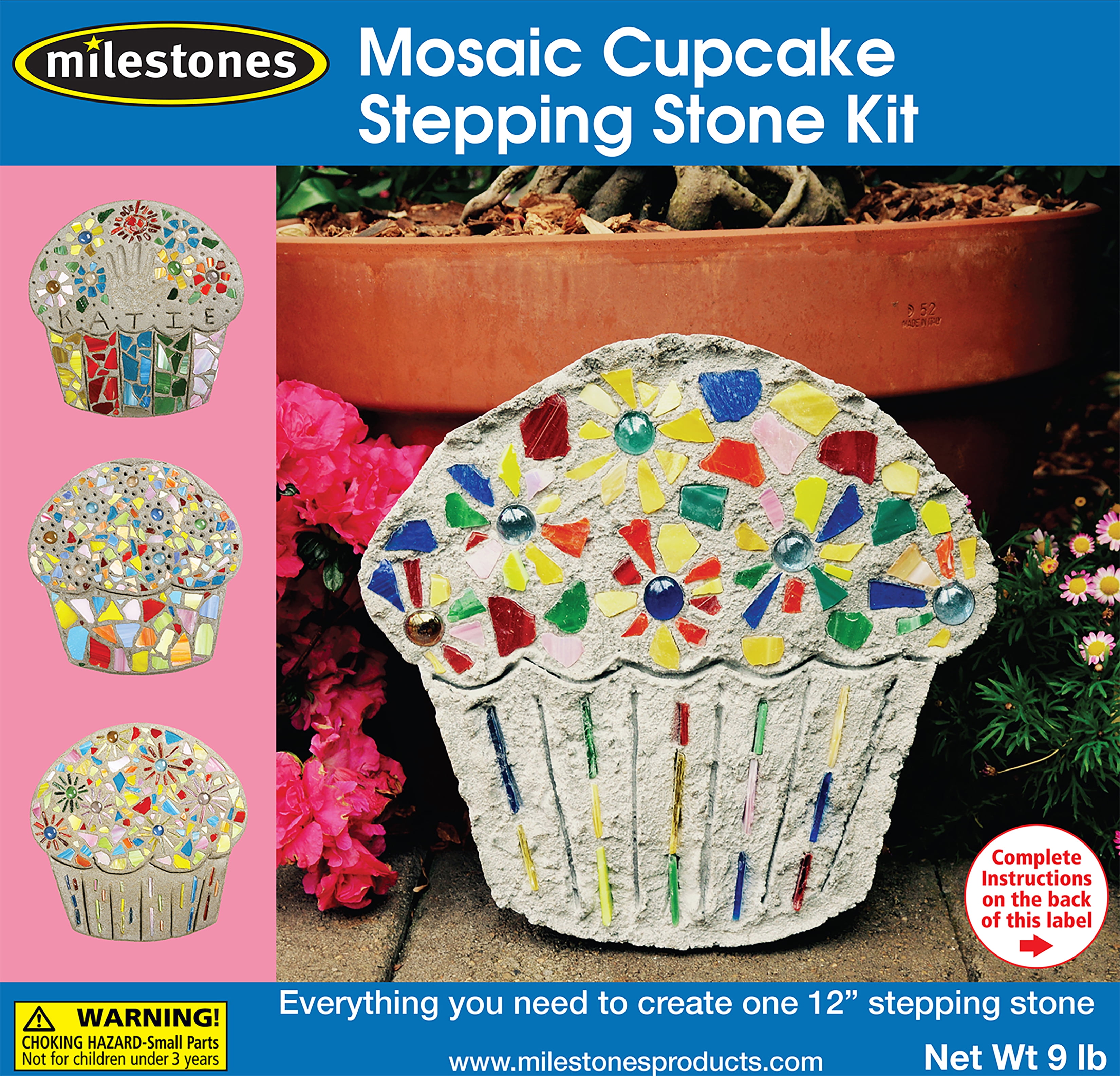Mosaic Stepping Stone KitCupcake
