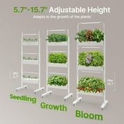 SUNCOZE 3-Tier Hydroponics Growing System Kit with 36 Pods – Full Spectrum Grow Lights Hydroponics System equipped with smart controller, Indoor Herb Garden Kit