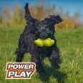 thumbnail image 6 of Nylabone Power Play Tennis Teddy Gripz Bear Dog Toy Medium/Wolf - Up to 35 lbs. (1 Count), 6 of 13