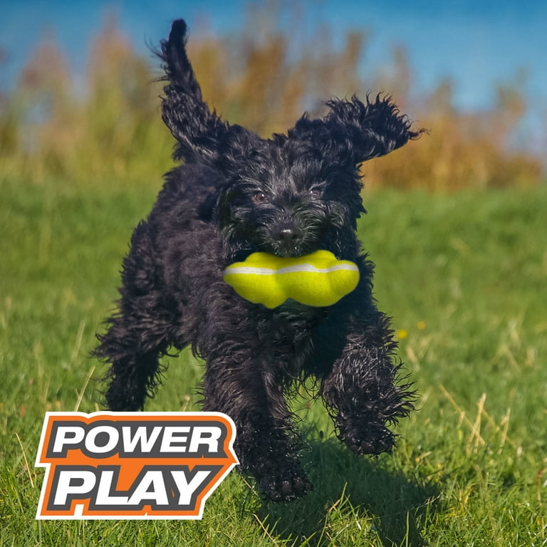 Nylabone Power Play Tennis Teddy Gripz Bear Dog Toy (Medium/Wolf - Up to 35 lbs.)