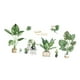 thumbnail image 5 of Pegatinas de pared Soledad plantas PVC 30 cm x 90 cm Estilo C, 5 of 10