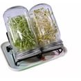 thumbnail image 1 of Kit de germinación milagrosa, solución casera para germinación con frascos de boca ancha, tapas de acero inoxidable para germinación de brotes de soja, cultivo de brotes orgánicos fácil, 1 of 5