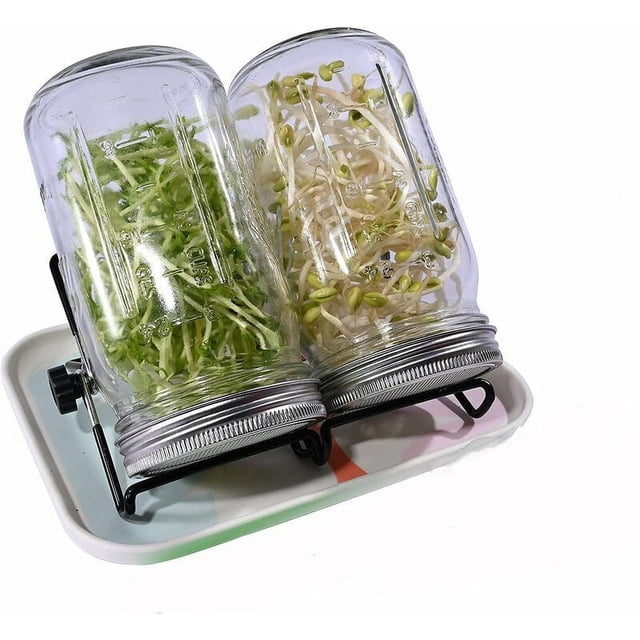 Kit de germinación milagrosa, solución casera para germinación con frascos de boca ancha, tapas de acero inoxidable para germinación de brotes de soja, cultivo de brotes orgánicos fácil