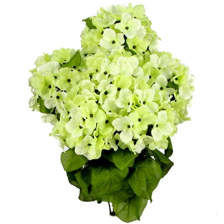 Bohemian Stem - Admired By Nature 7 Stems Artificial Full Blooming Stain Hydrangea, Celery