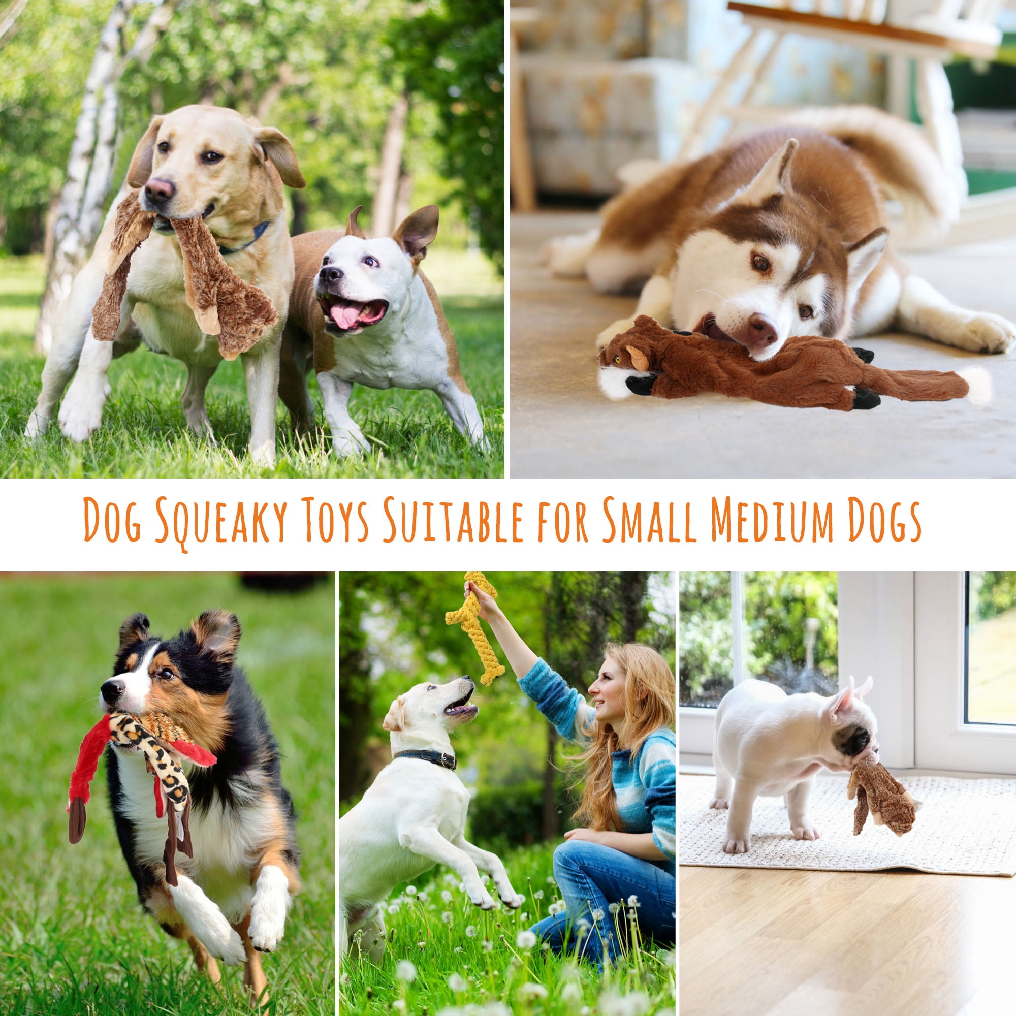 LotFancy 5pcs Dog Squeaky Toys for Small Medium Dog, No Stuffing