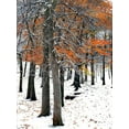 thumbnail image 2 of Lieberman , Burney 19x24 Black Ornate Wood Framed with Double Matting Museum Art Print Titled - SnowFall II, 2 of 4
