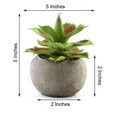 thumbnail image 3 of Efavormart Set of 3 | 5" Assorted Aloe Varietal Artificial Faux Succulents Mini Green Plants in Cement Pot, 3 of 11