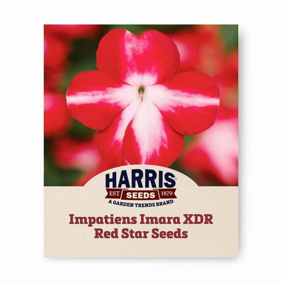 Harris Seeds - Impatiens Seeds - Imara XDR Red Star F1 Variety - 250 Seeds