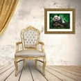 thumbnail image 3 of LaMontagne, Patrick 24x19 Gold Ornate Wood Framed with Double Matting Museum Art Print Titled - Peaceful Panda, 3 of 4