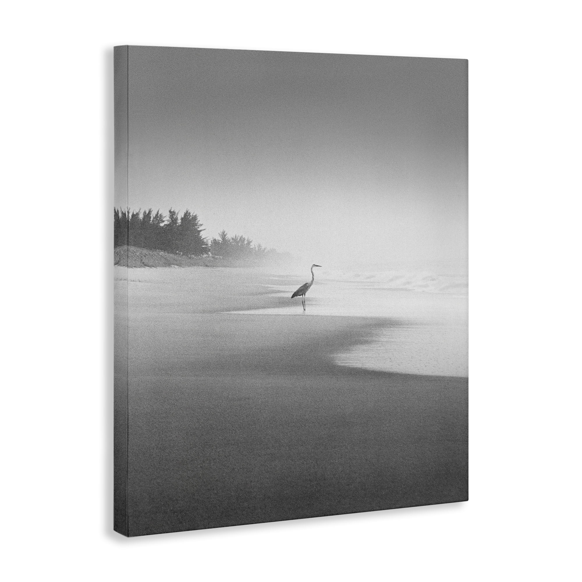 Stupell Industries Heron on Beach Coast Coastal Photography Gallery Wrapped Canvas Art Print Wall Art, 36 x 48