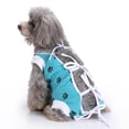 thumbnail image 5 of Traje de recuperación para gatos después de la cirugía, disfraz de camisa con vendaje quirúrgico elástico para cachorros, gatitos castrados, heridas abdominales, daños en la piel, destete, 5 of 5