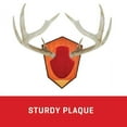 thumbnail image 5 of Allen Company Hunting Antler Mounting Kit, Red Skull Cover, European Skull Mount, Includes Hardware, 5 of 19