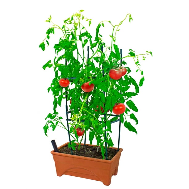 Walmart Christmas Decorations Indoor Windowsill Gardening - Ouneed Lovely Yard Dragon Sculpture Solar Garden Decoration Ornament Dragon Walmart Com Walmart Com : Maybe you would like to learn more about one of these?