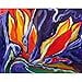 thumbnail image 3 of Betsy Drake DM545 18 x 26 in. Purple Paradise Door Mat, 3 of 4