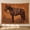 A, variant on XaaKee Large Wall Tapestry, Beautiful Rust Charger Bedroom Tapestry, High-Quality Polyester Tapestry Wall Hanging For Art Lovers, 60x40Inch