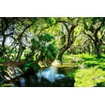 thumbnail image 2 of Hausenflock, Alan 32x23 White Modern Wood Framed Museum Art Print Titled - Saint Simons Waterway, 2 of 4