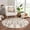 Charcoal, Beige / Godalming GOD, variant on Hauteloom Godalming Living Room, Bedroom Area Rug - Bohemian/Global - Plush Pile - Charcoal, Beige - 5'3" x 7'3"