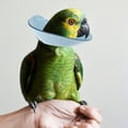 thumbnail image 1 of unbranded Collar Protector Para Loros En Microfibra Azul Y Cómodo Para Evitar Daños, 1 of 7