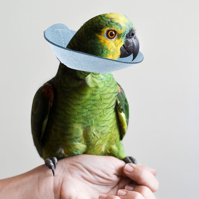 unbranded Collar Protector Para Loros En Microfibra Azul Y Cómodo Para Evitar Daños