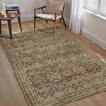 thumbnail image 2 of BERTHMEER 3'x5' Small Area Rugs for Living Room Bedroom Home Office Dorm Vintage Brown Indoor Carpets Traditional Distressed Oriental Rugs Washable Non-slip Throw Rugs, 2 of 8