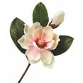 thumbnail image 1 of Cream And Pink Magnolia And Bud Pick Artificial Flower, 1 of 1