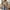 Khaki, variant on Aloohaidyvio Cardigans for Women Plus Size,Women's Open Front Cardigan Sweaters Fashion Button Down Cable Knit Chunky Outwear Coats