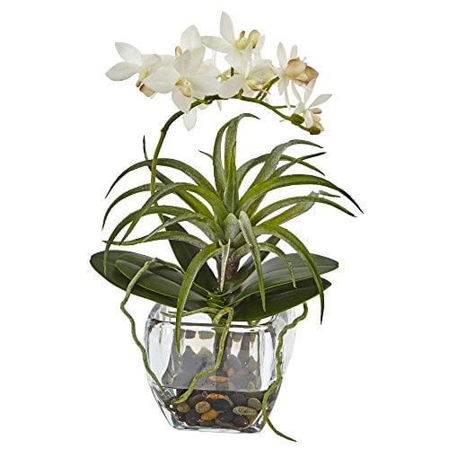 Nearly Natural 1443 Orchid and Succulent Mixed Arrangement with Glass Vase,White,6.75 x 22.5 x 6.75