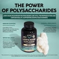 thumbnail image 3 of Suplemento NUTRAHARMONY Organic Lions Mane 120 cápsulas, 3 of 7