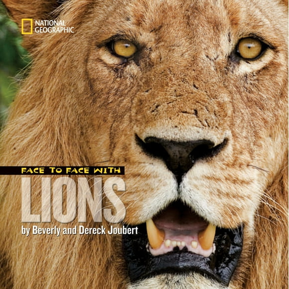 Face to Face with Animals: Face to Face with Lions (Paperback)