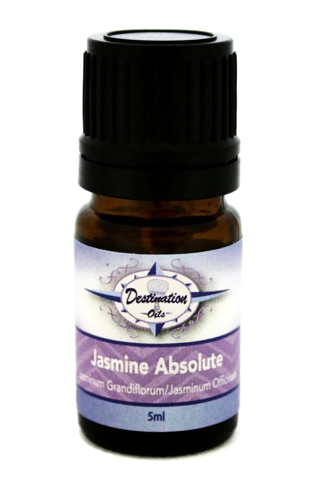Jasmine Absolute Essential Oil 5ml 50/50